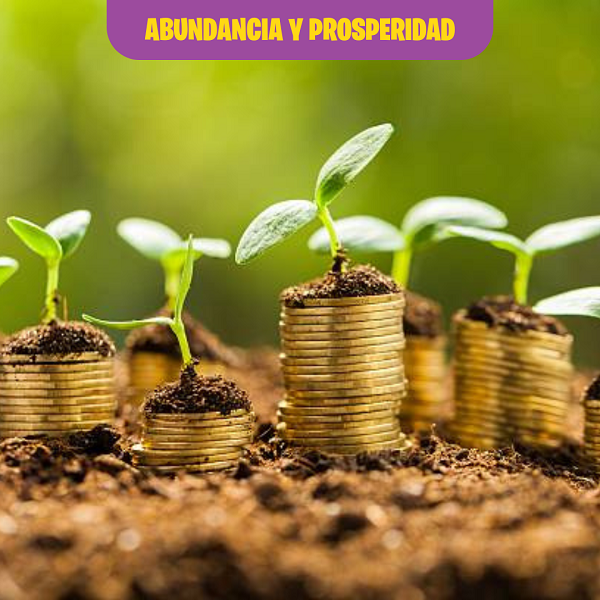 abundancia-prosperidad-karen-poveda-calarcá-quindío
